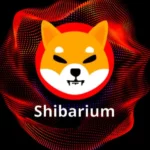 Shibarium relaunches tomorrow after fixing initial issues