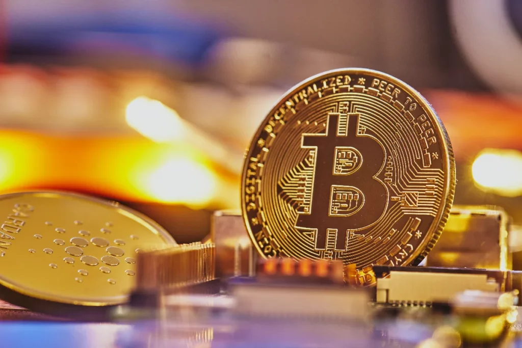 Bitcoin Price, Growing Interest Despite Volatility